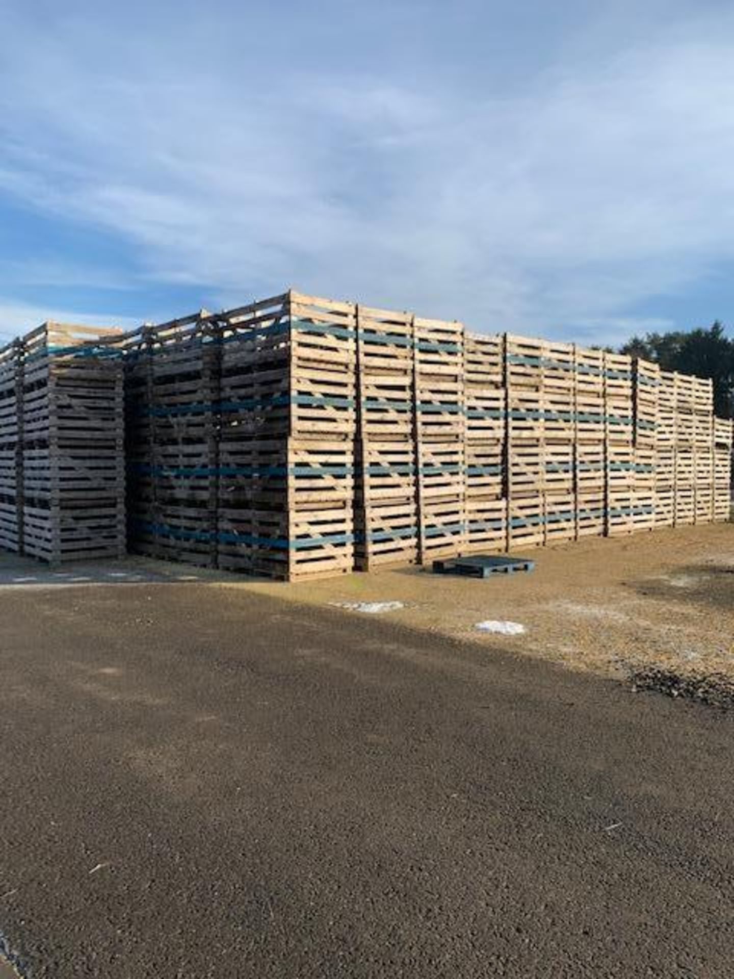 500No. Wooden Standard Cabbage Bins - Image 2 of 2