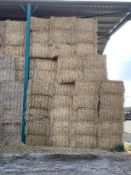 300No. 2022 Wheat Straw Bales