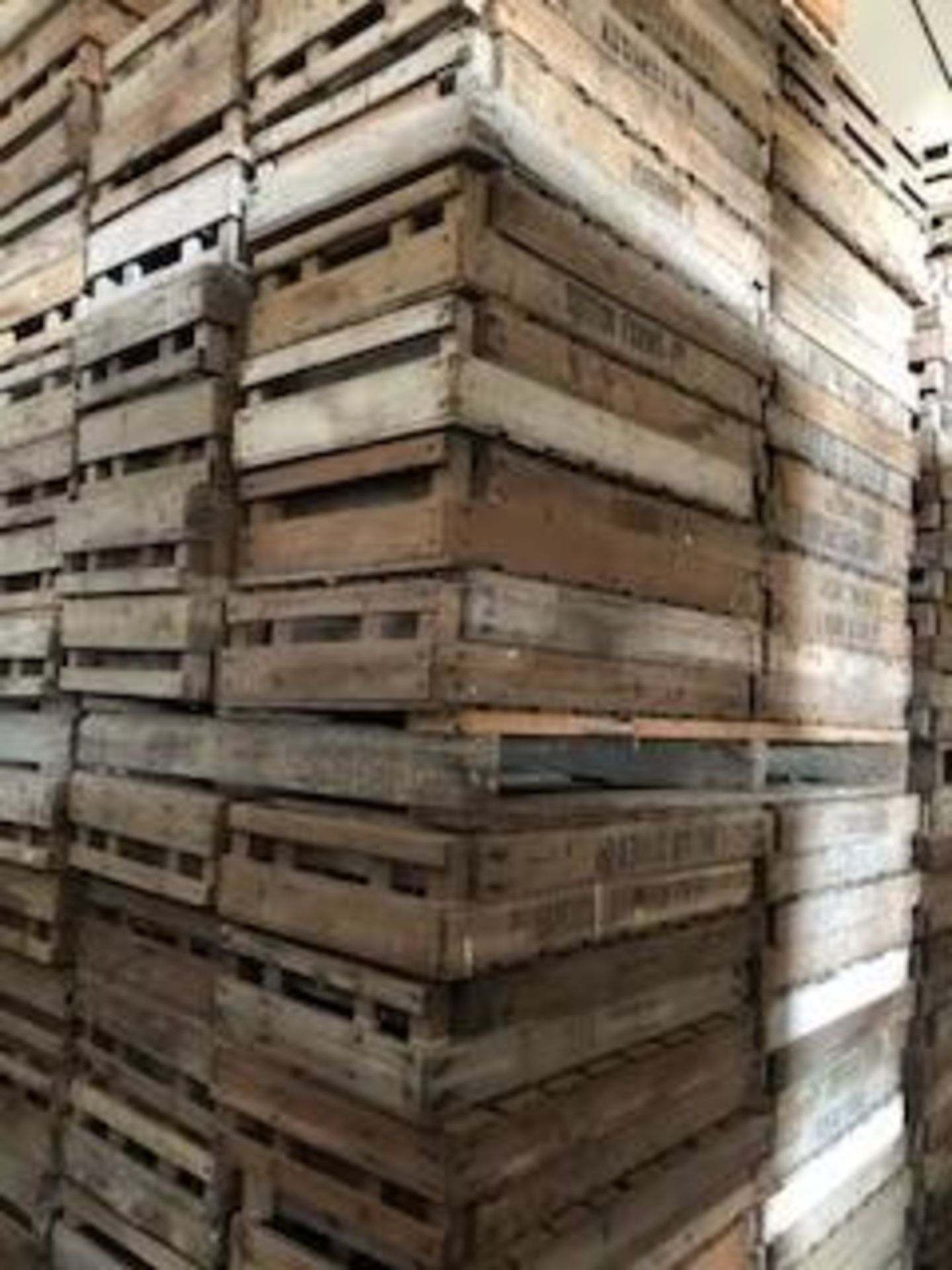 Pallet of 72 No. Wooden Chitting Trays - Image 4 of 6
