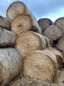 60 x 2022 Oat Straw Bales