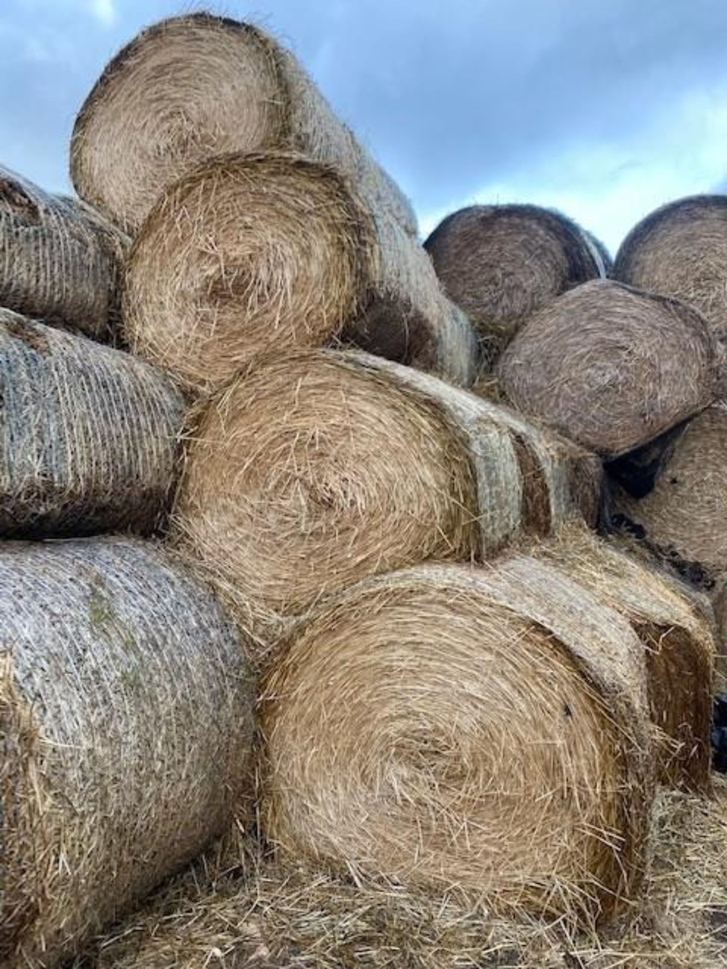 60 x 2022 Oat Straw Bales