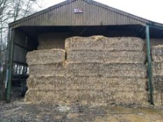 480No. 2021/22 Winter Barley Straw Bales