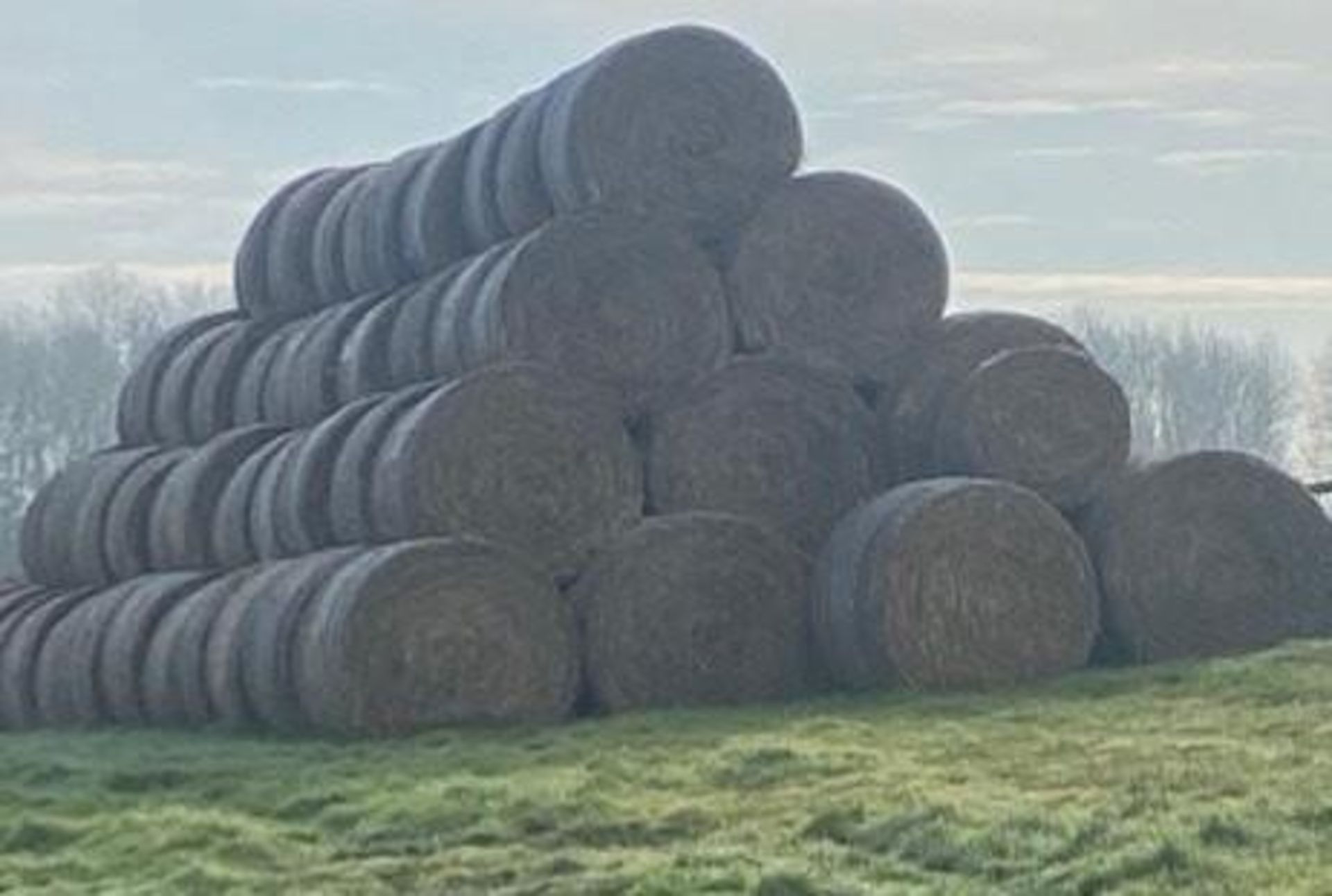 60 x 2022 Oat Straw Bales - Image 3 of 3