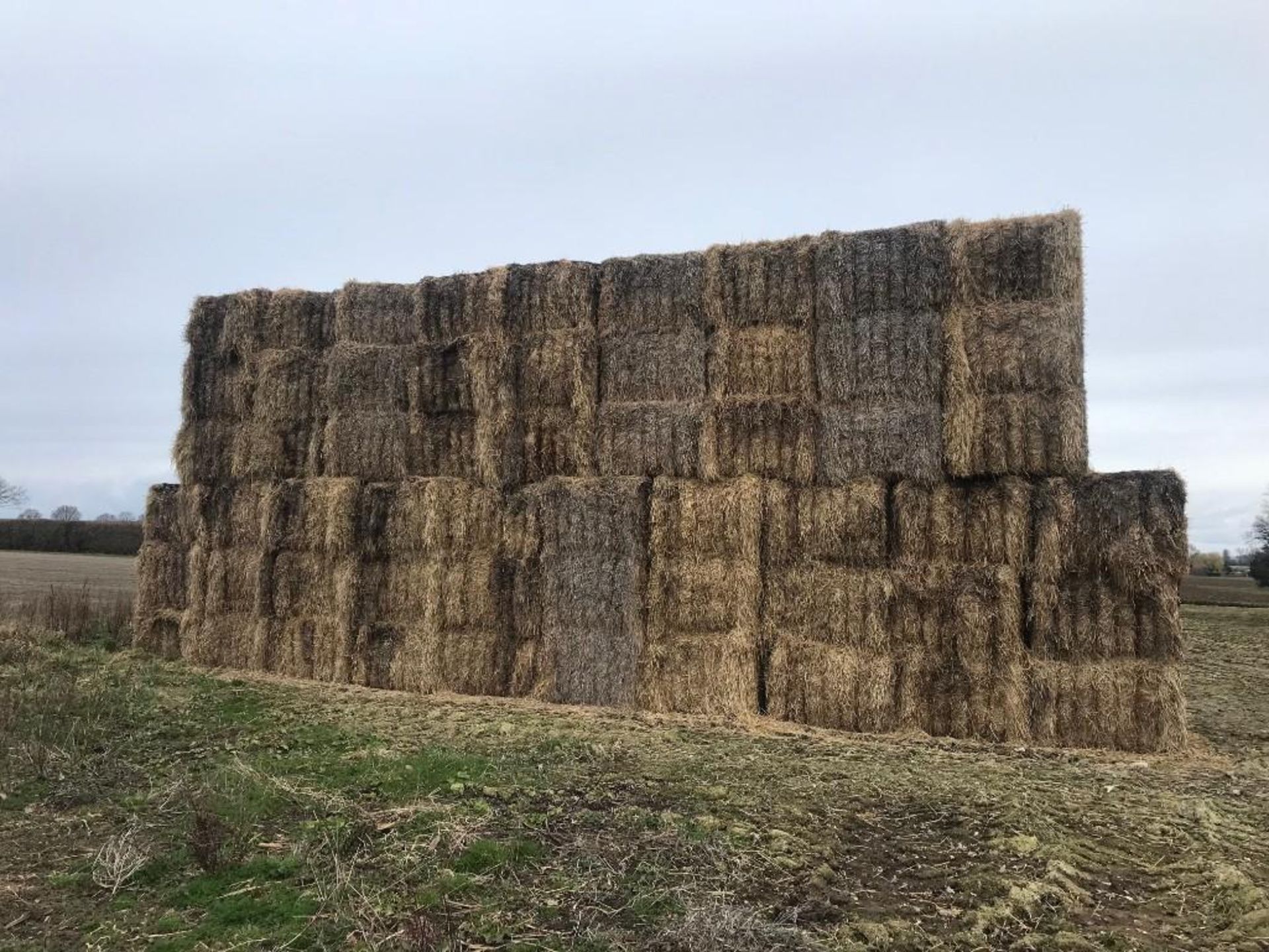 85No. 2021 Winter Barley Straw Bales