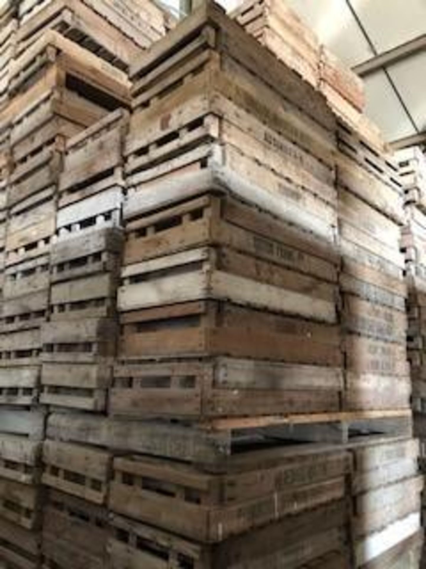 Pallet of 72 No. Wooden Chitting Trays - Image 5 of 6