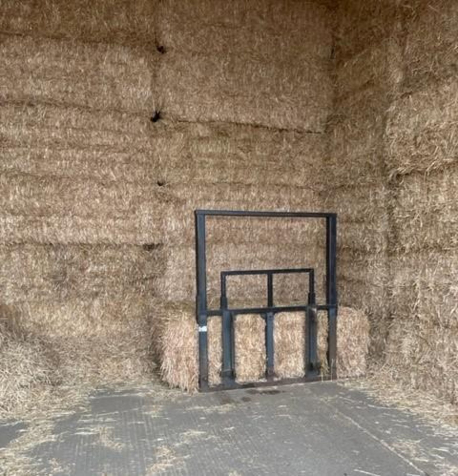 50 x 2022 Wheat Straw Bales
