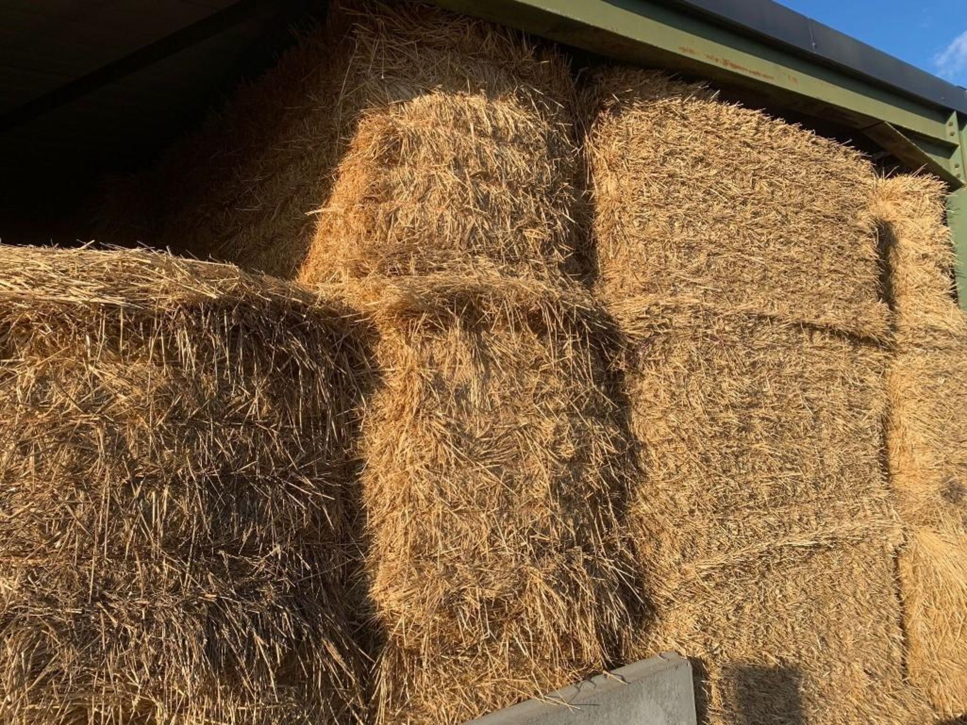 175No. 2022 Wheat Straw Bales