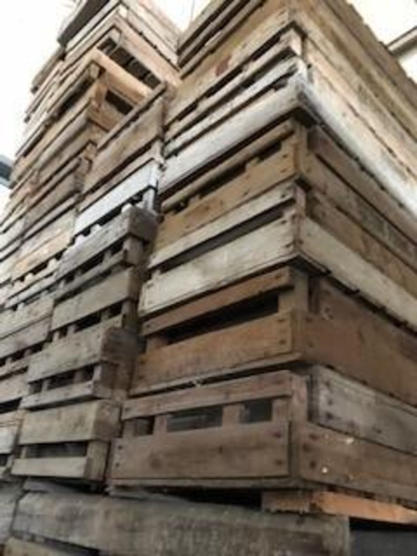 Pallet of 72 No. Wooden Chitting Trays - Image 6 of 6