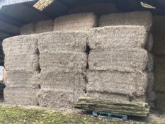 511No. 2020/21 Oilseed Rape Straw Bales