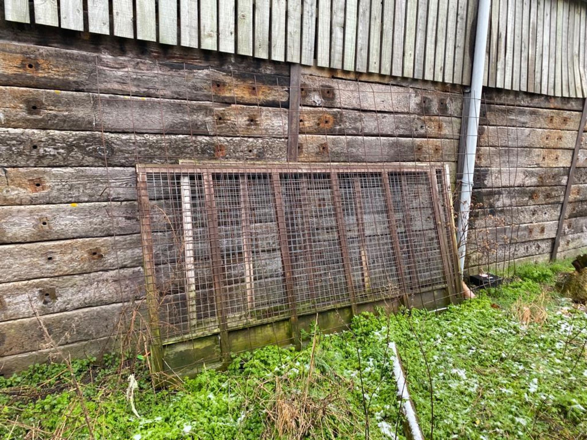 Metal Panel Dog Kennel - Image 2 of 2