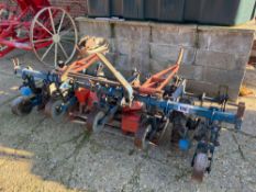 Stanhay 5 row sugar beet drill, linkage mounted