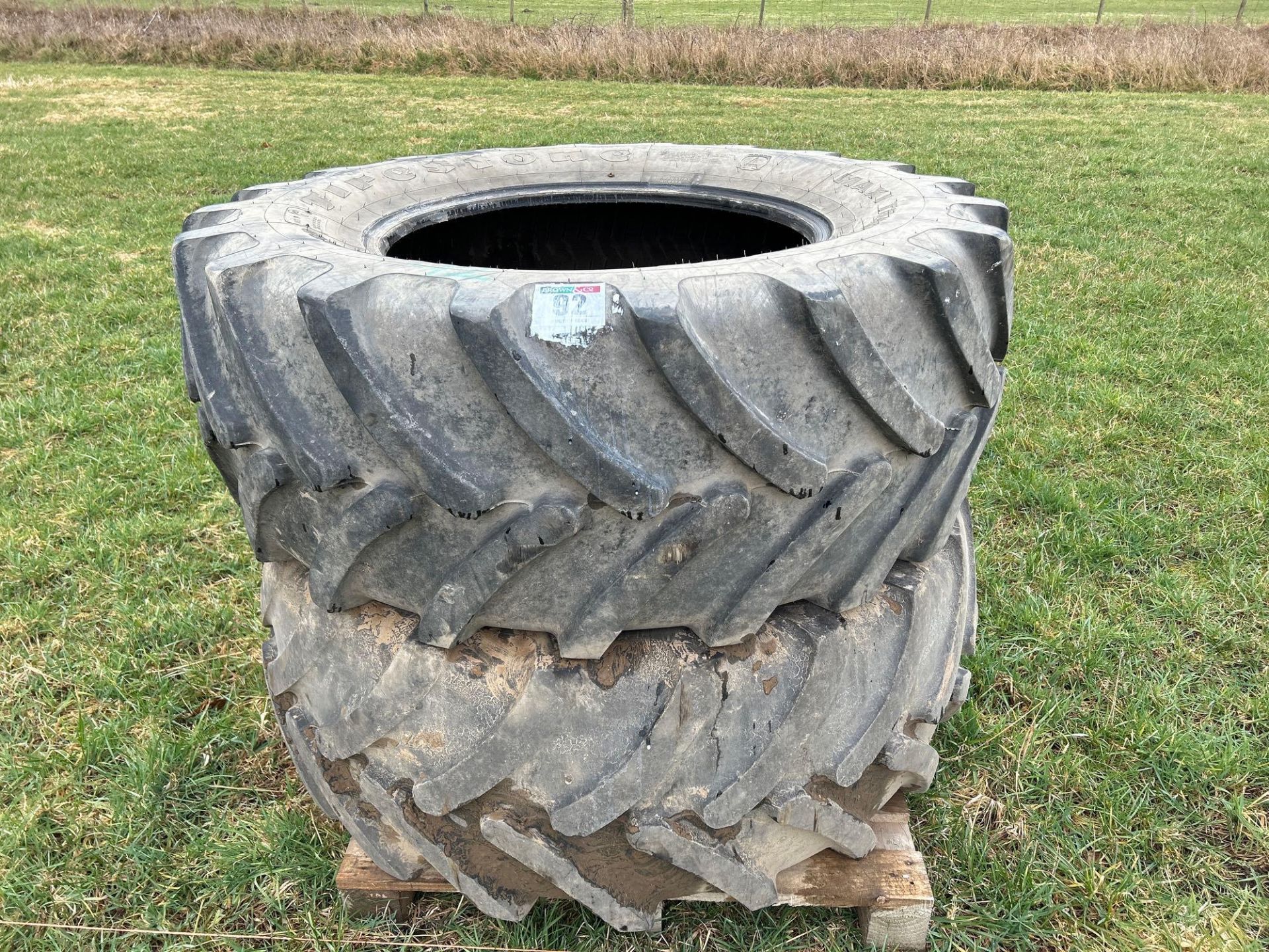 Pair of 540/65R30 tyres