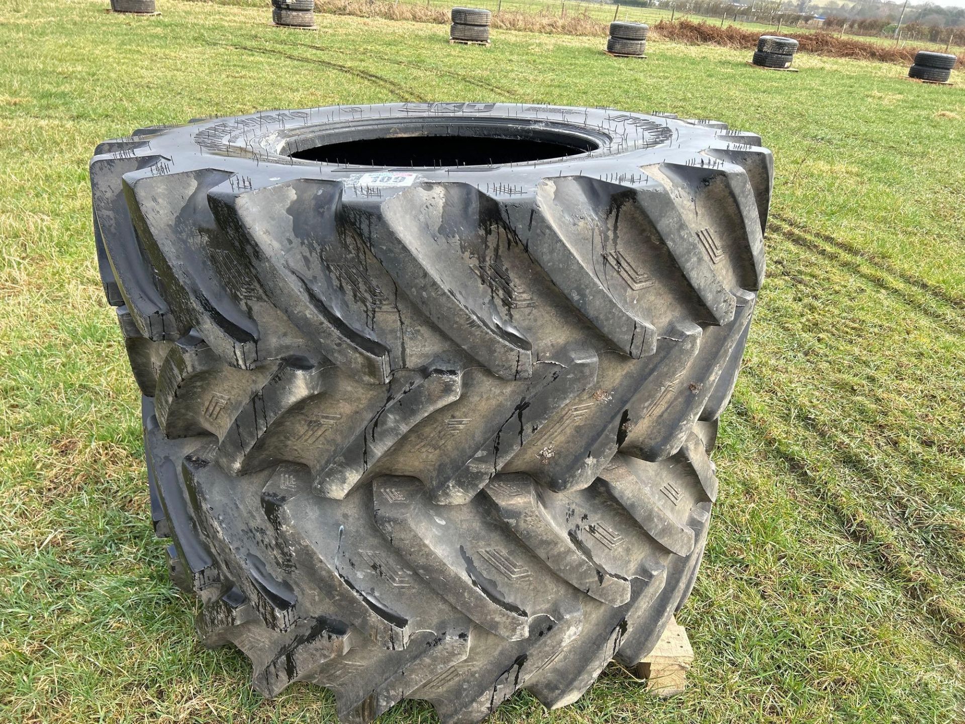 Pair of BKT 600/70R30 tyres