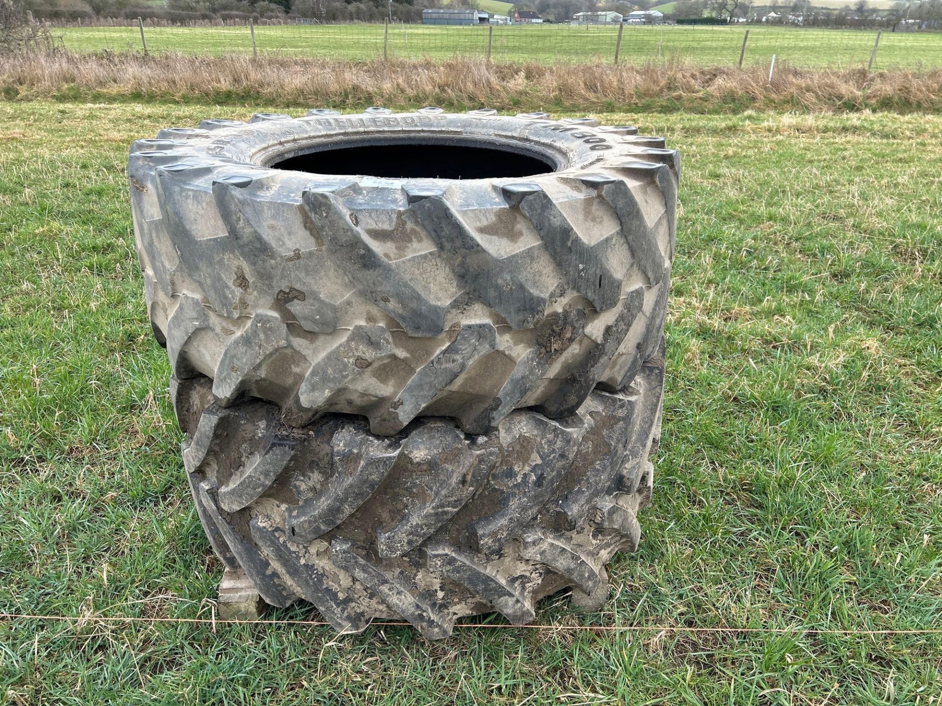 Pair of 540/65R30 tyres