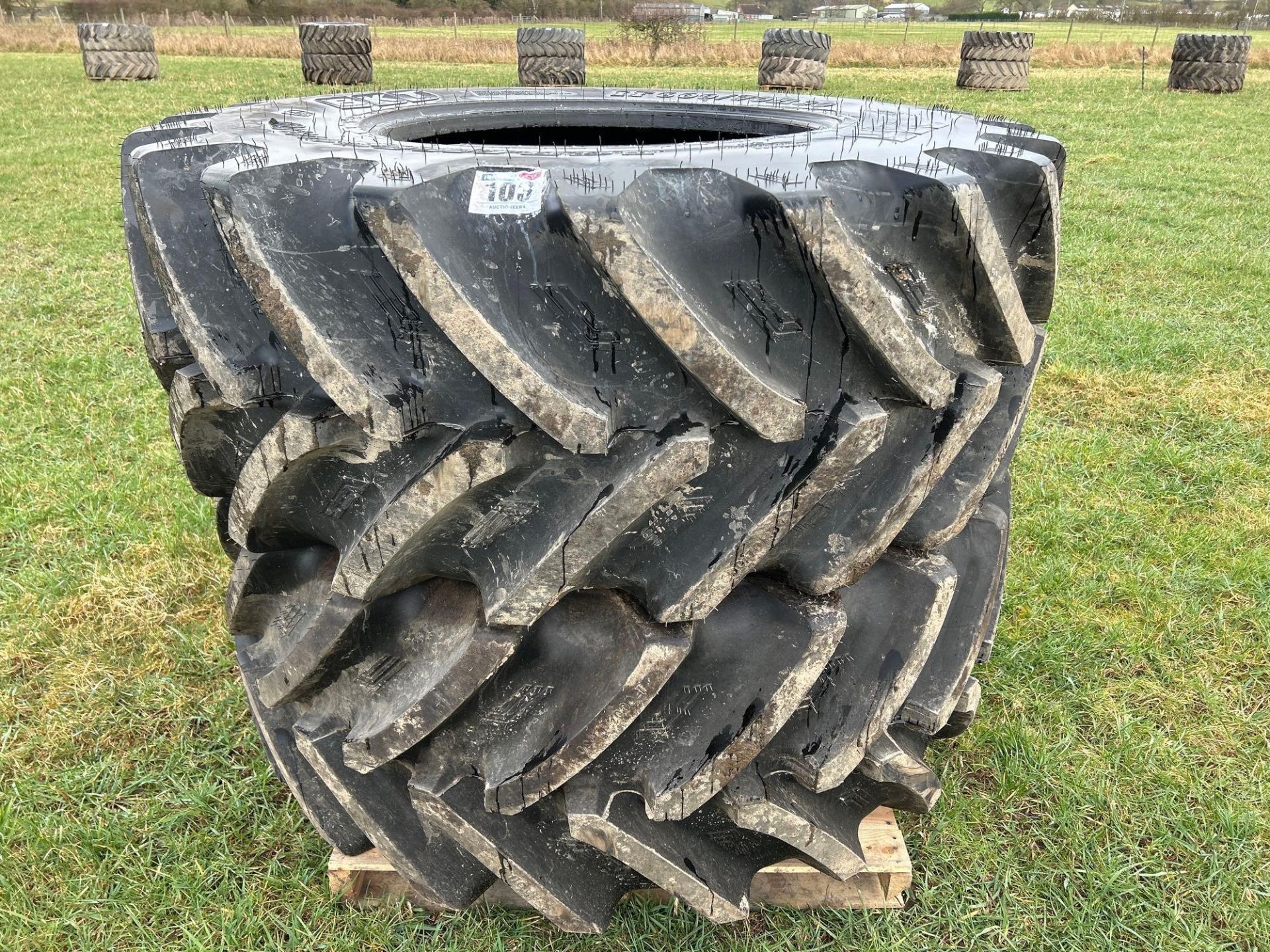 Pair of BKT 600/70R30 tyres (brand new)