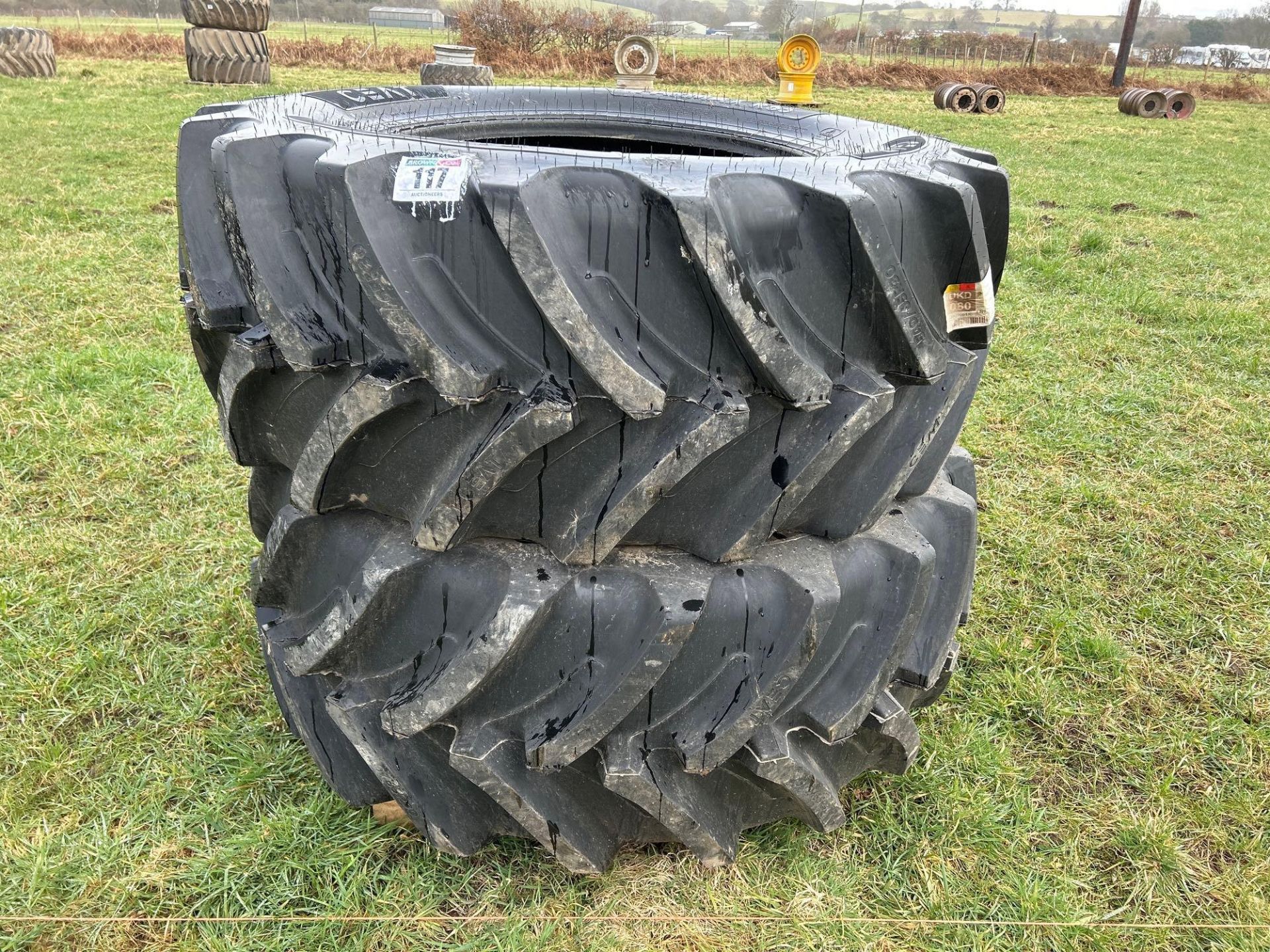 Pair of Ceat 540/65R30 tyres (brand new)