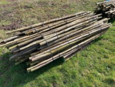 c.80No used tree stakes, 6' tall