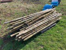 c.80No used tree stakes, 6' tall