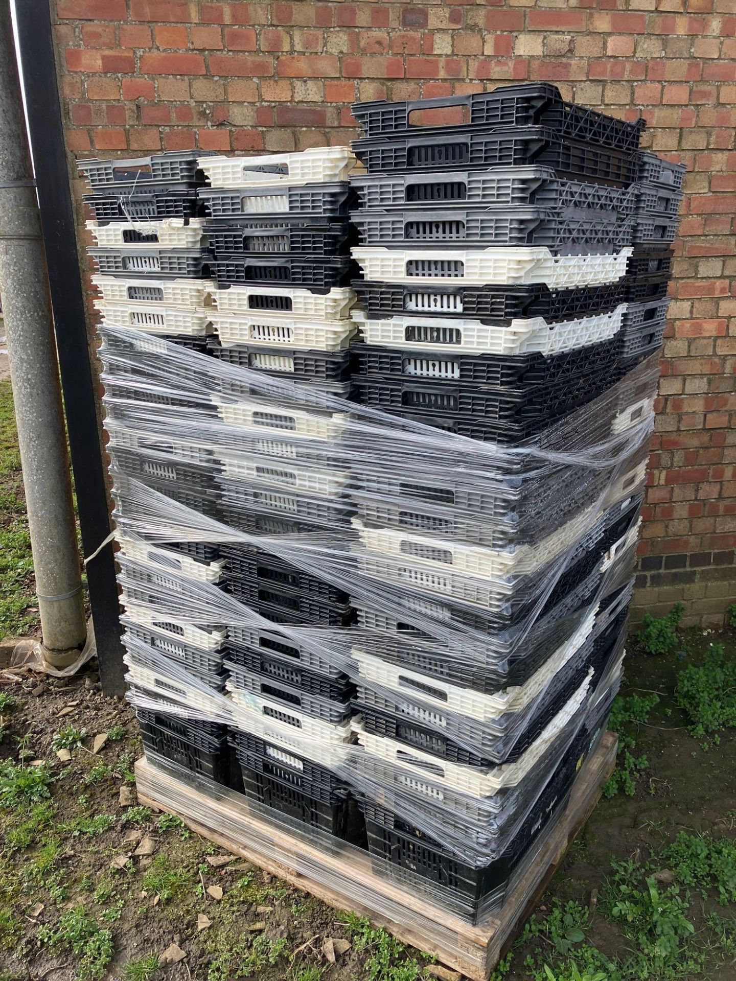 120No black and white plastic crates, 60' x 46'