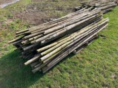 c.80No used tree stakes, 6' tall