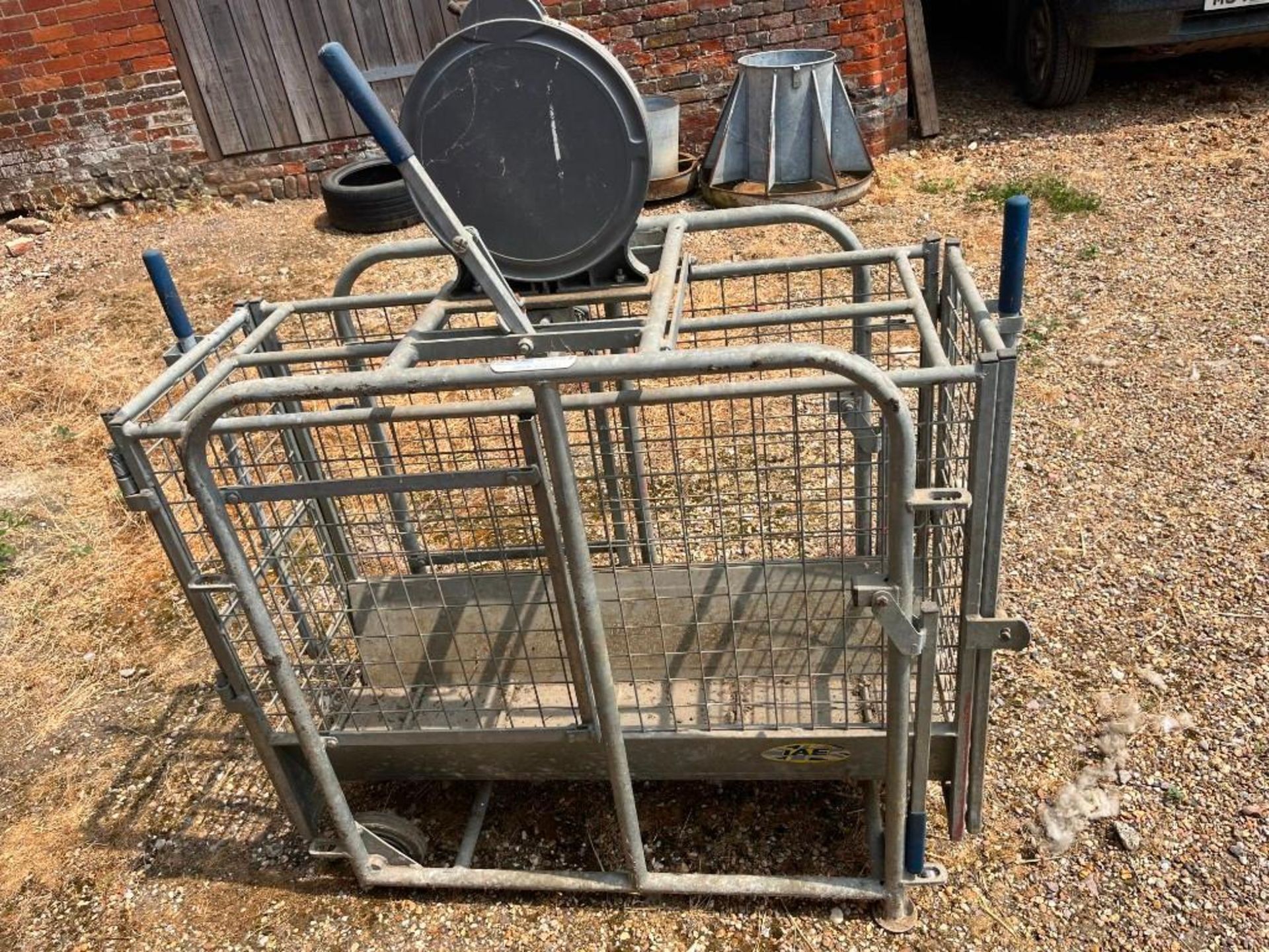 IAE Lamb Weigher - Image 4 of 5