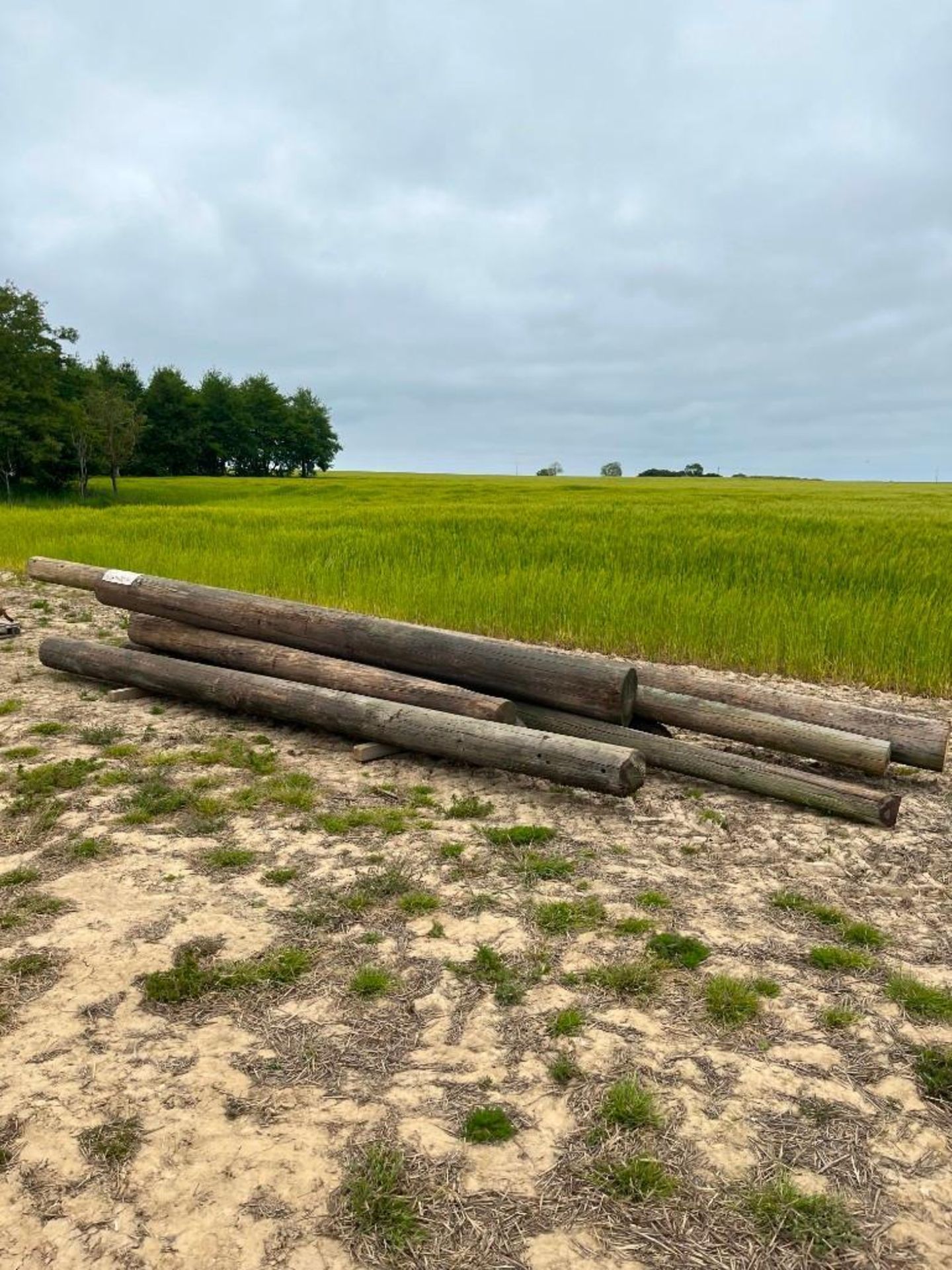 Qty Wooden Posts