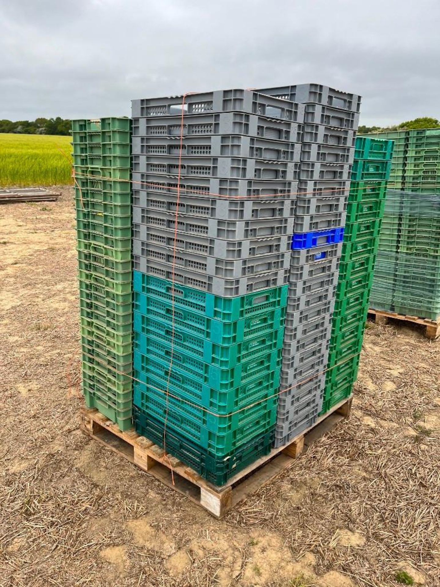 Misc Pallet of Plastic Vegetable Crates