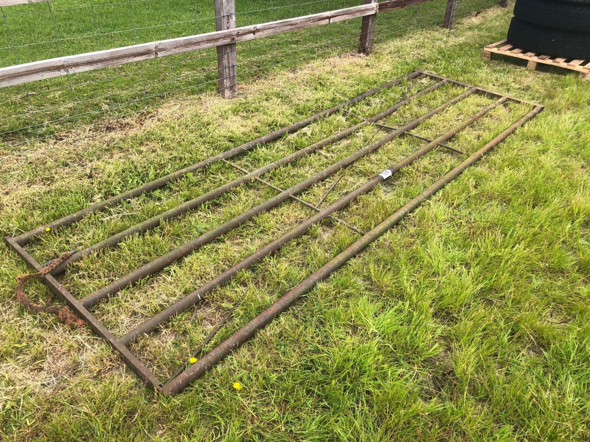 12ft metal field gate