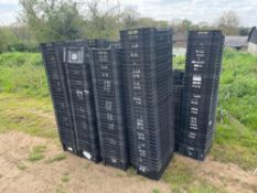 Quantity black stacking trays