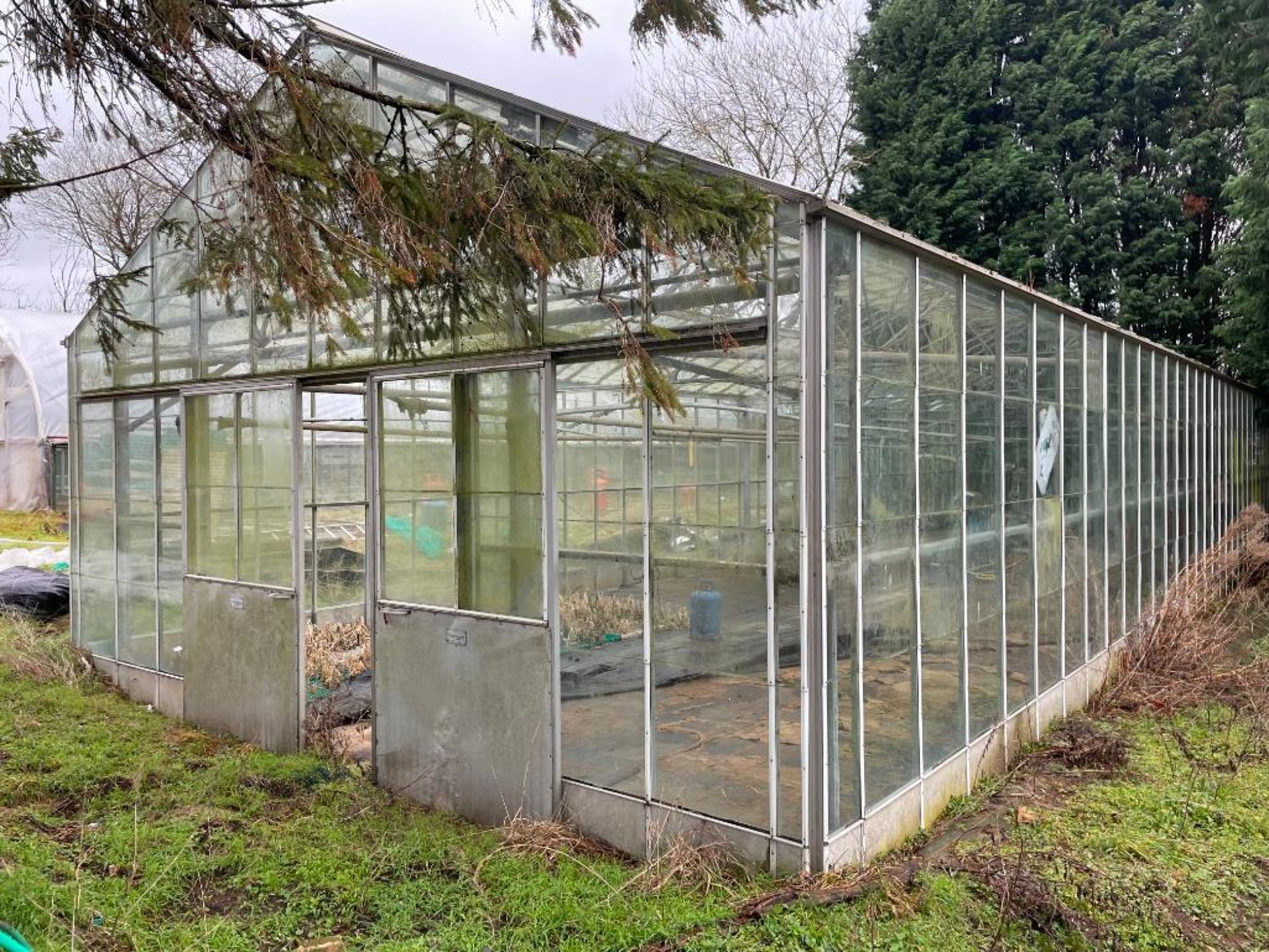 Robinson 6.6m x 20m glasshouse with manual opening vents. Sold in situ, buyer to remove