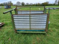 Sheep handling crate