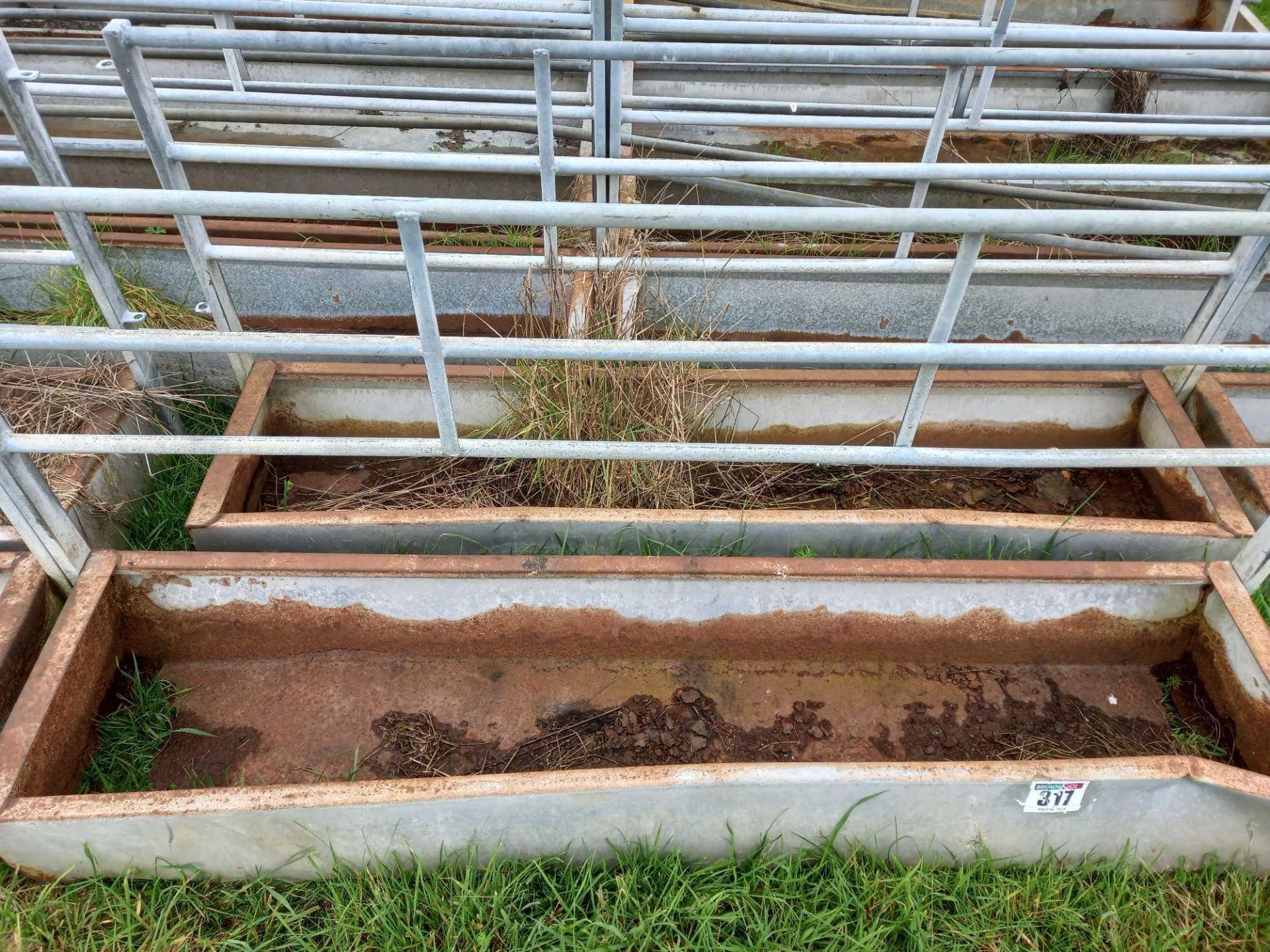 Sheep walk through troughs - Image 2 of 2