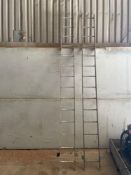 Heavy duty 14 run galvanised ladder