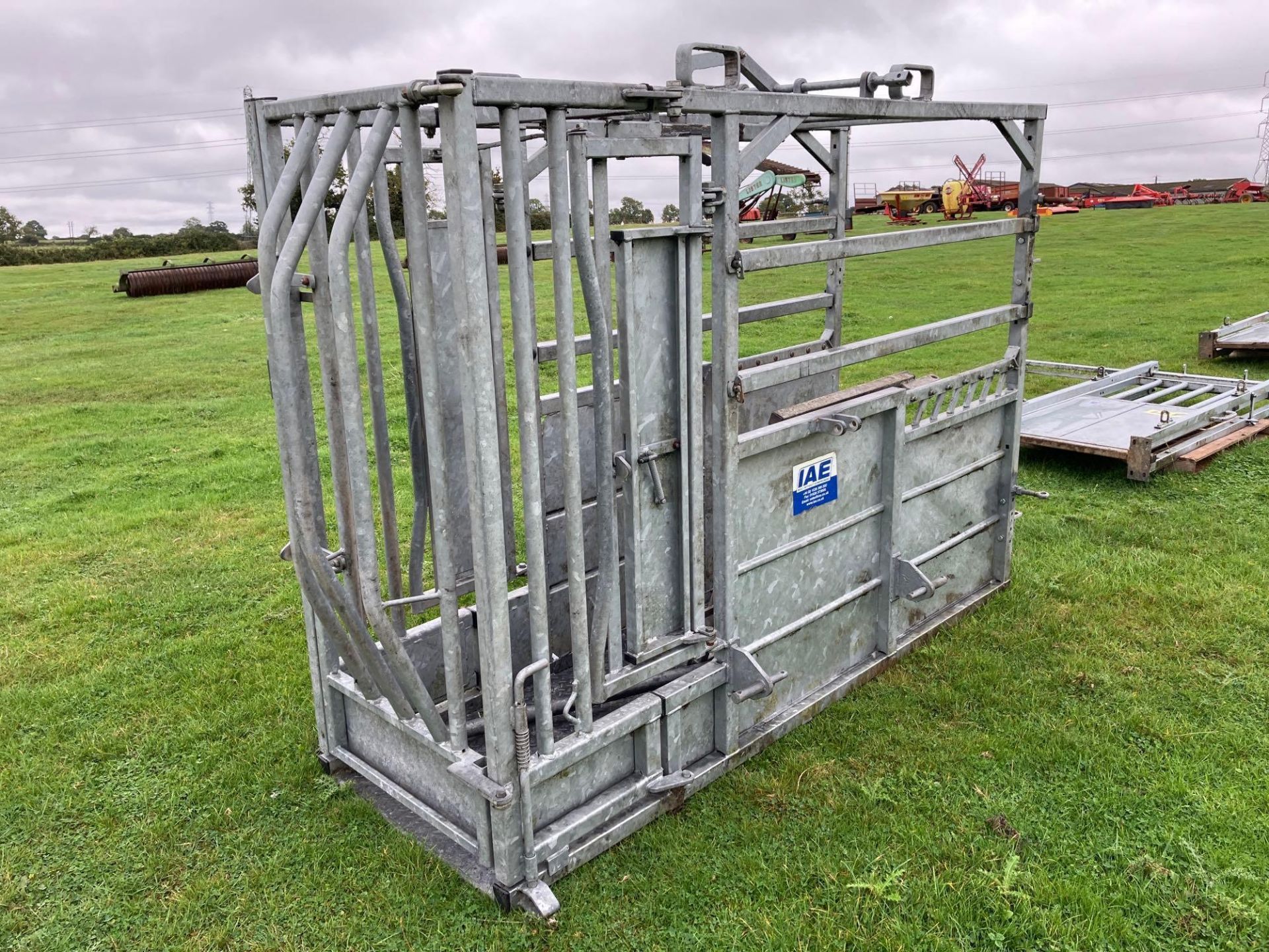 IAE galvanised cattle crush. Serial No: 025094 - Image 3 of 8