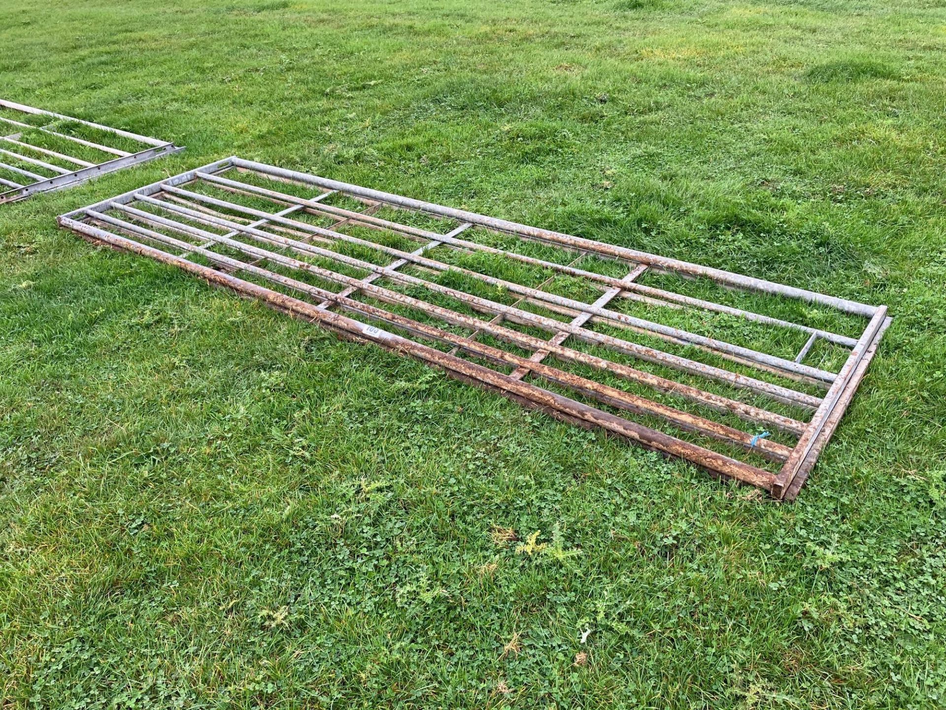 3No 12ft field gates