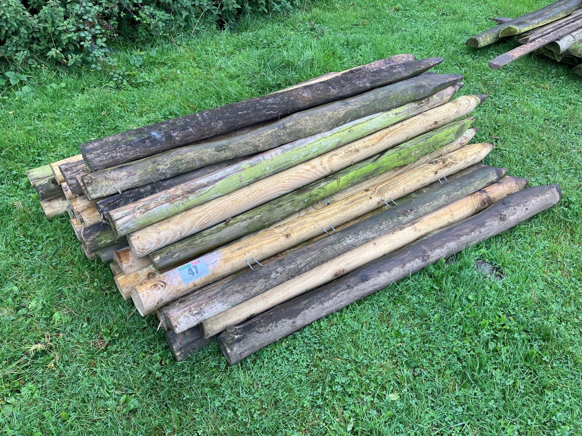Quantity wooden fence posts
