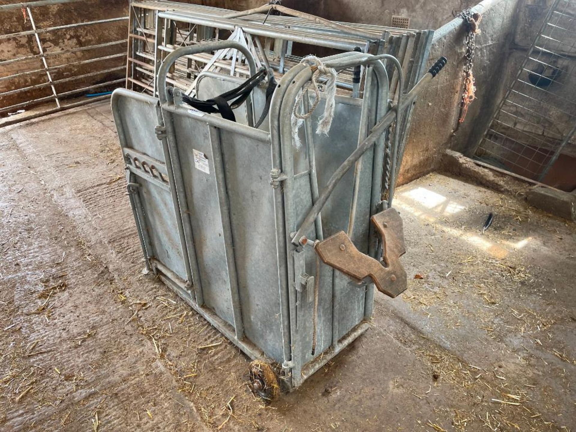 IAE large calf dehorning crush. Serial No: 0011062 - Image 5 of 7