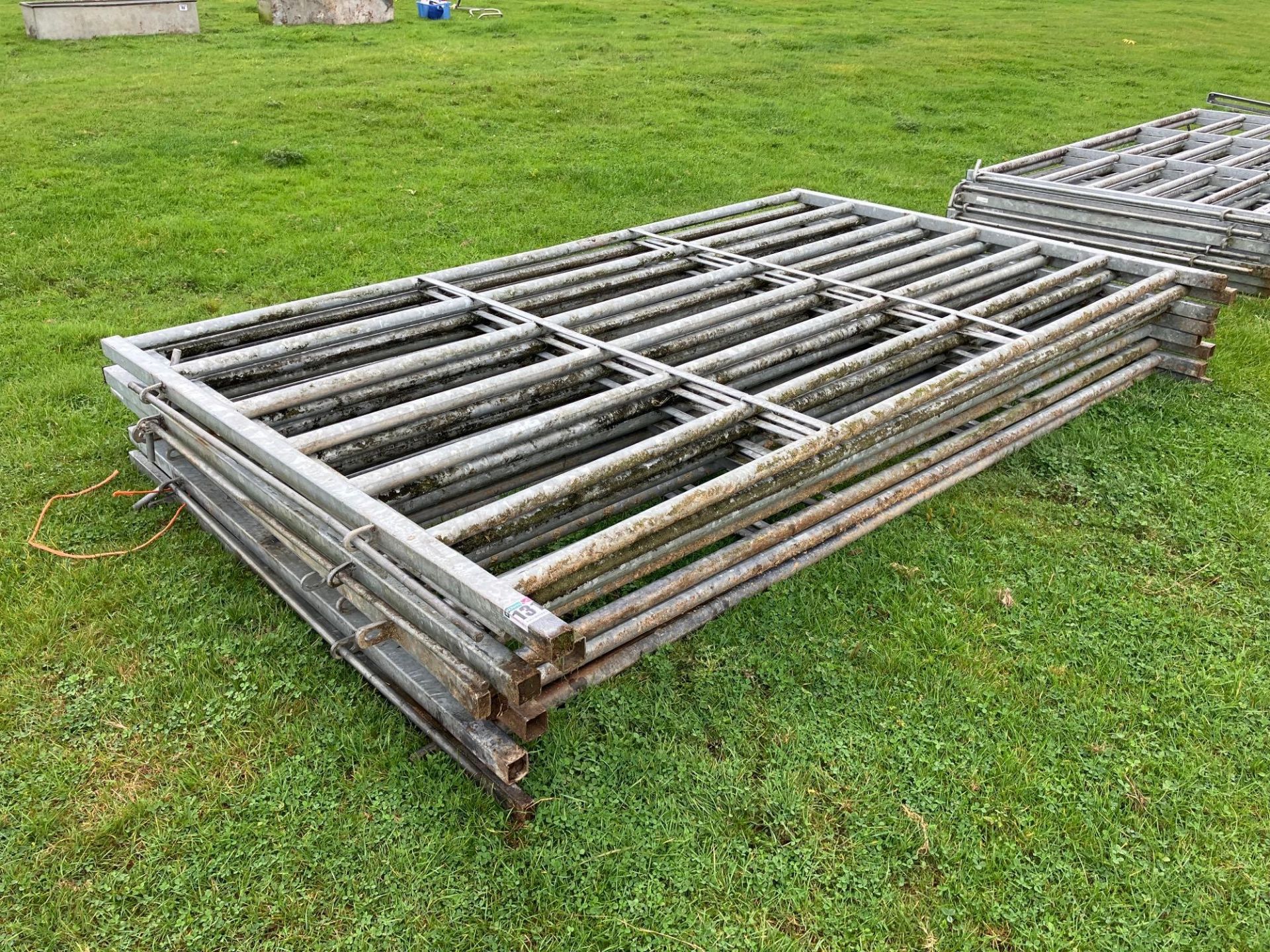 8No 10ft x 6ft galvanised cattle hurdles