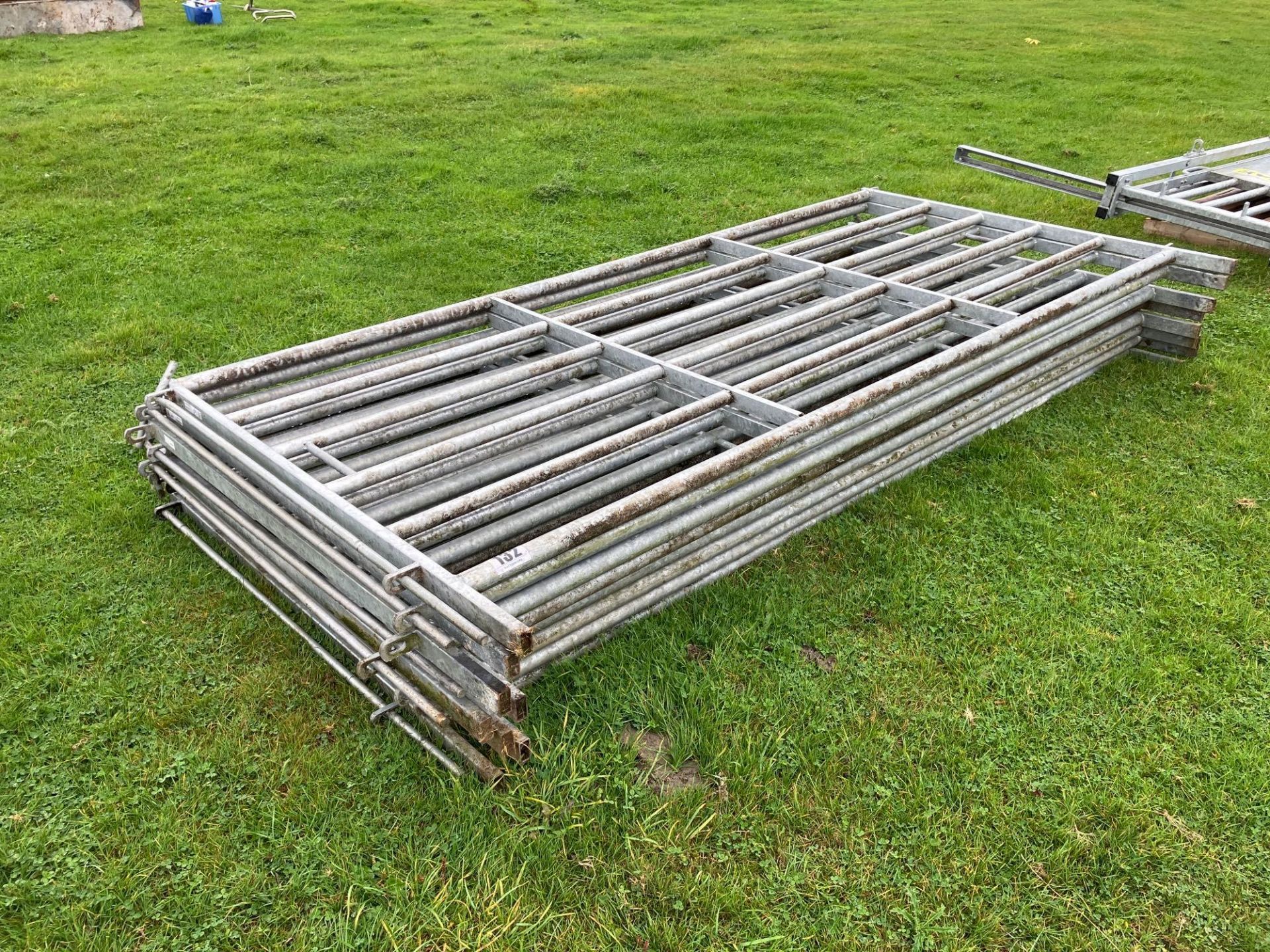 8No 10ft x 5ft galvanised cattle hurdles