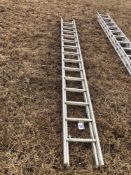 Galvanised extending ladder