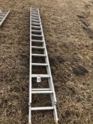 Galvanised extending ladder