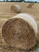 100 x 5ft Bales 2023 Oat Straw (Rutland)