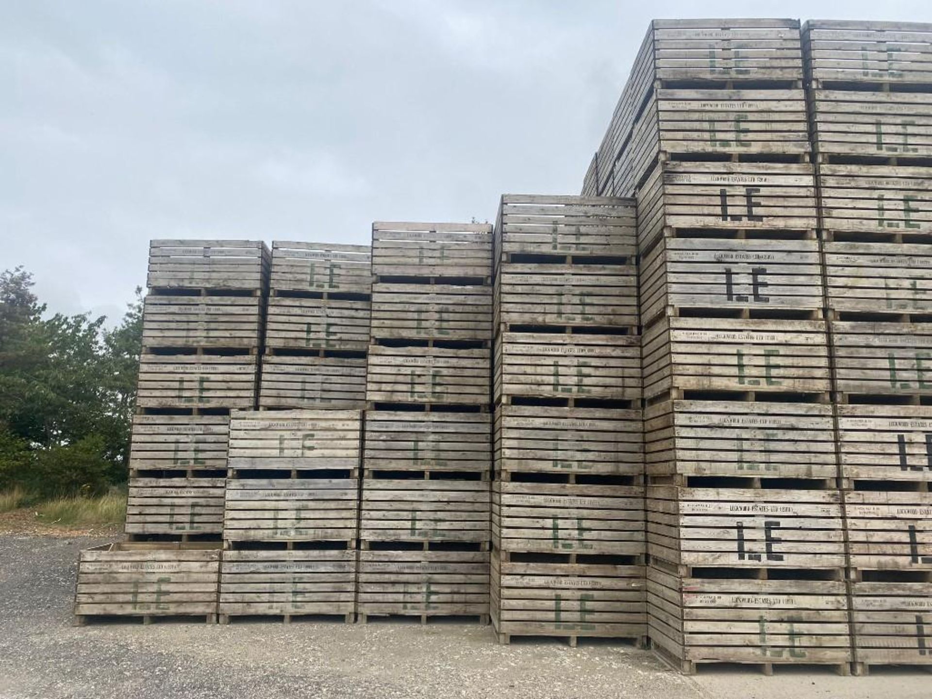 100No. 1T Potato Boxes (6ft x 4ft) - (Lincolnshire) - Image 2 of 6