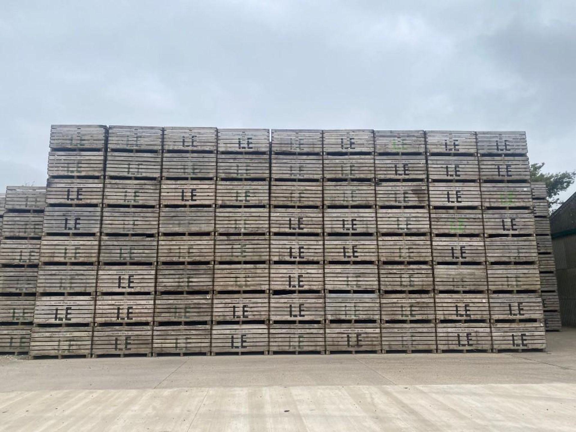 100No. 1T Potato Boxes (6ft x 4ft) - (Lincolnshire) - Image 3 of 6