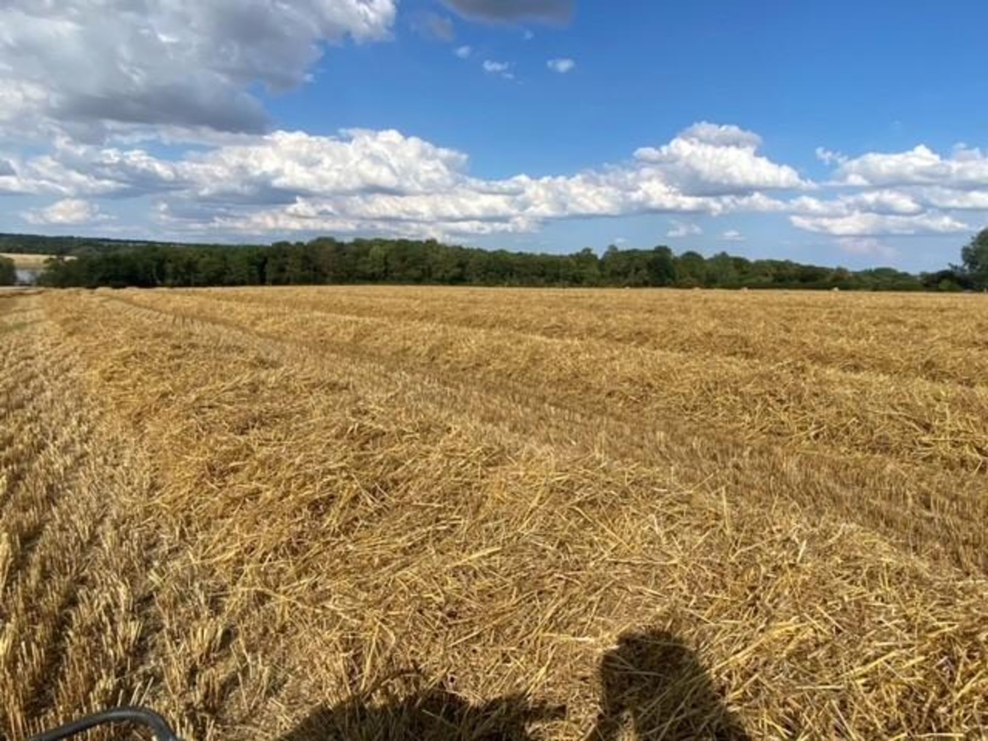 100 x 5ft Bales 2023 Oat Straw (Rutland) - Image 4 of 4