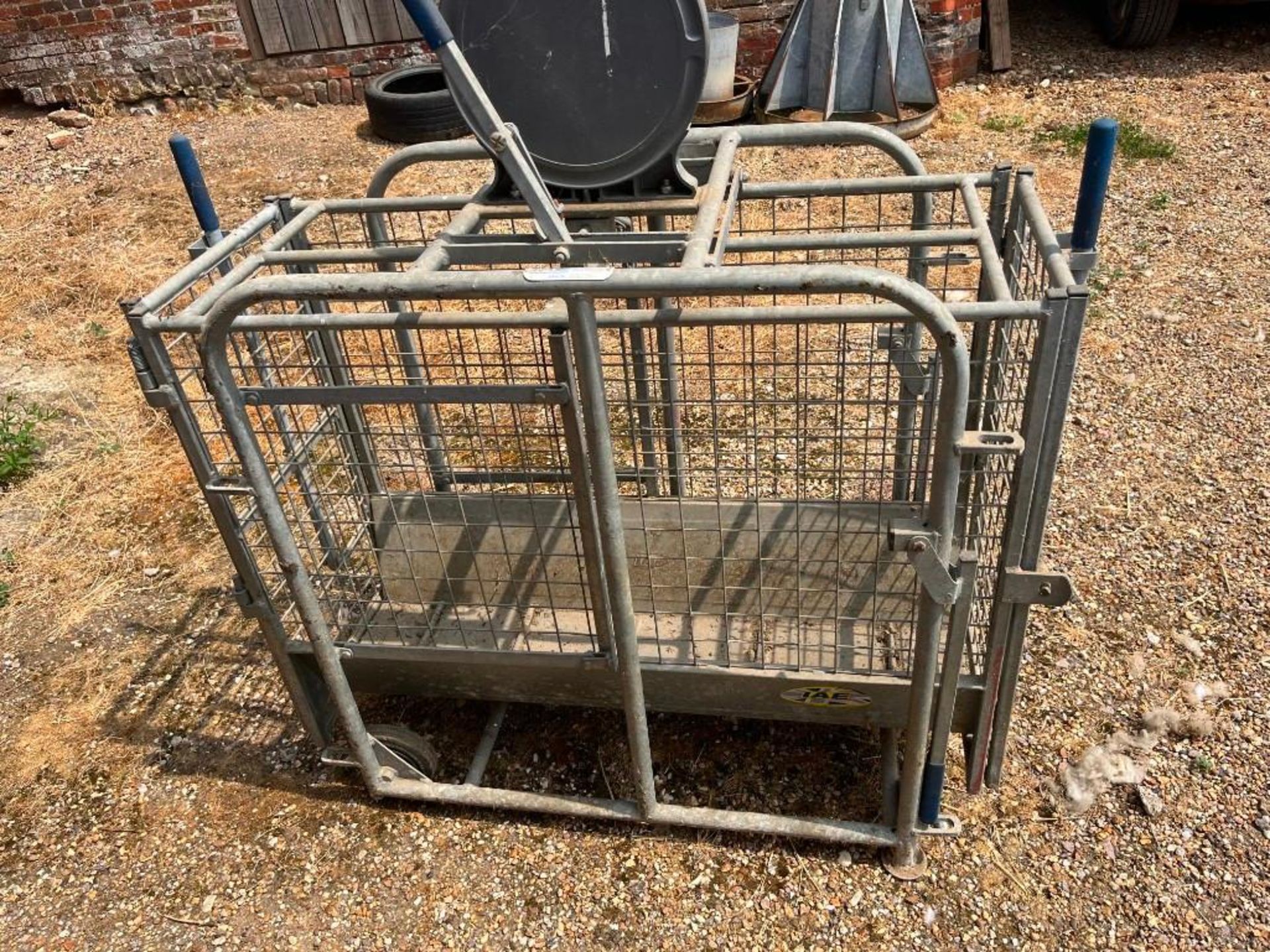 IAE Lamb Weigher - (Norfolk) - Image 3 of 5