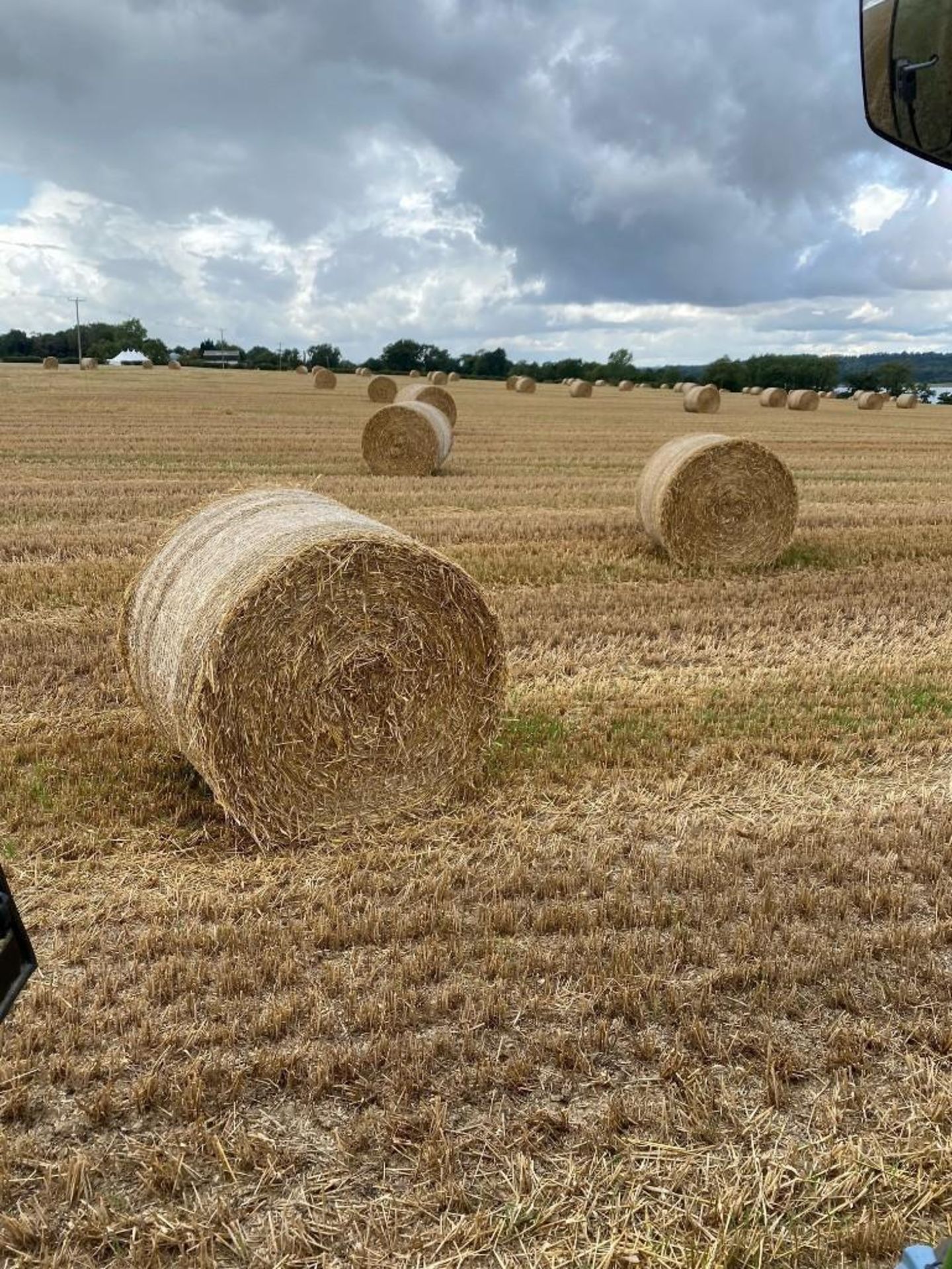 100 x 5ft Bales 2023 Oat Straw (Rutland) - Image 2 of 4