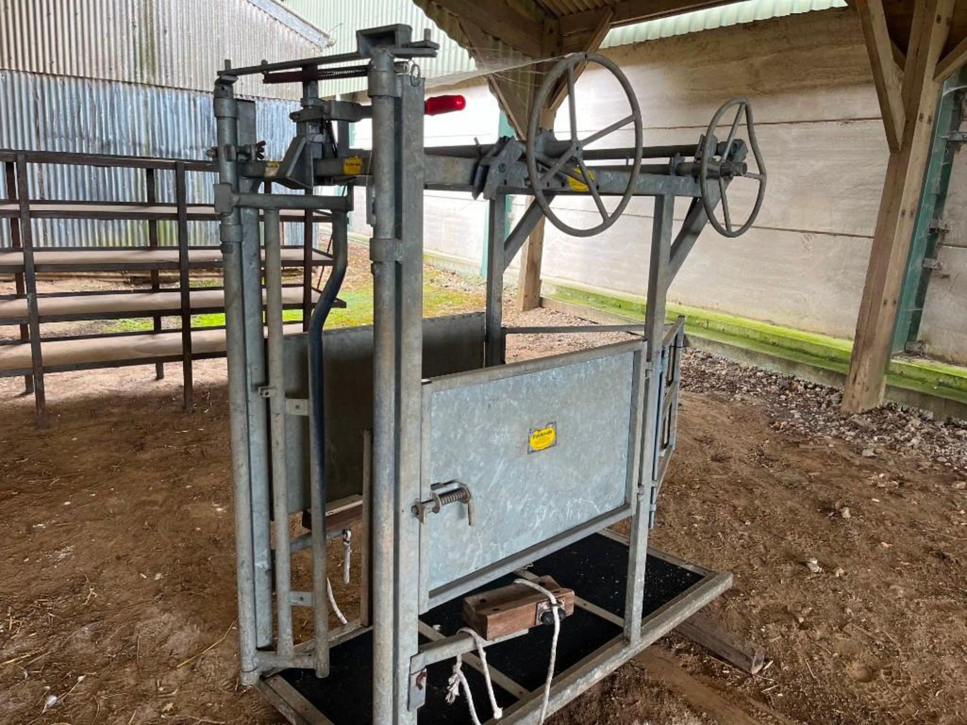 Poldenvale Cattle Foot Trimming Crush