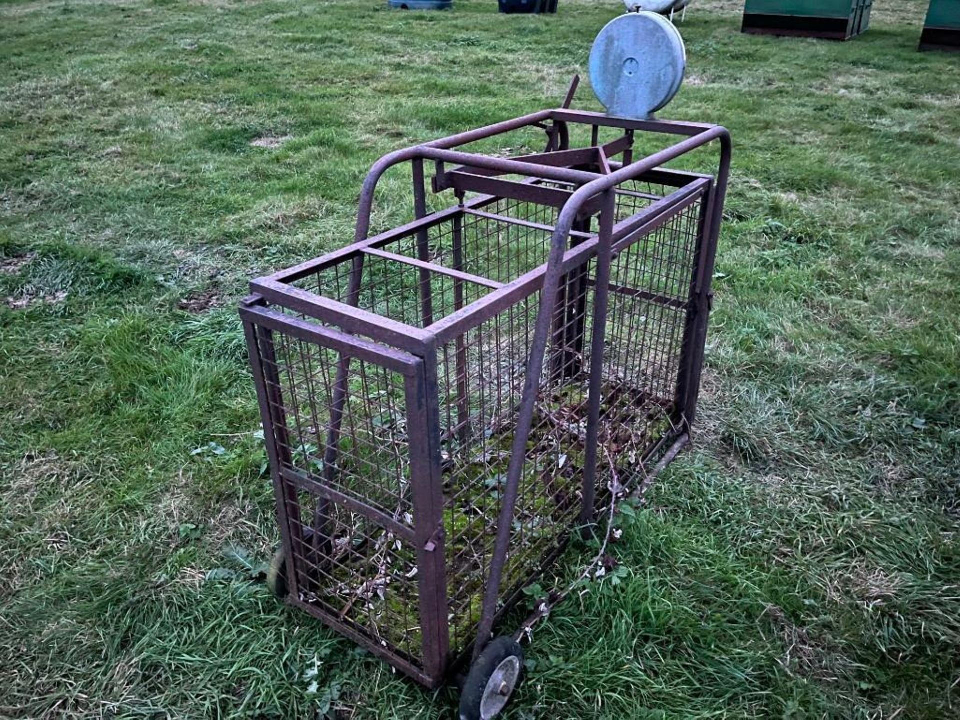 Misc Lamb Weigh Crate