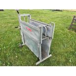 Bateman Calf Dehorning Crate